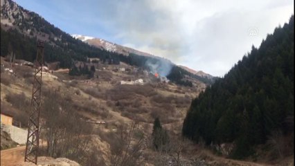 RİZE - Gölyayla köyünde çıkan yangına müdahale ediliyor (3)