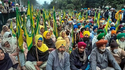 Congress ministers join farmers' protest on Shambhu border!