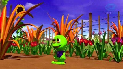 EL SAPO PEPE - Música Infantil para Niños