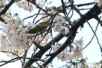 大地の子　第12話「規律」