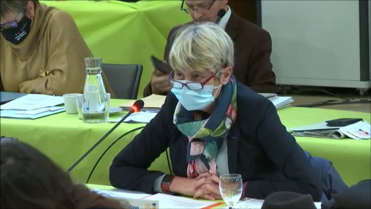 Christine RENAUDIN-JACQUES. Discussion générale. Session budget primitif 2021 des 14 et 15 décembre 2020