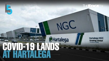 EVENING 5: Hartalega staff test positive for Covid-19