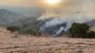 Firefighters contain brush fire in California's Brea Canyon