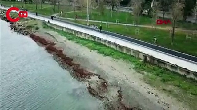 Caddebostan sahilinde denizin rengi kırmızıya büründü