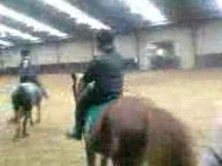 spectacle d'équitation (suite)