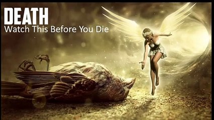 You Need To Watch This┇ Sheikh Shady Alsuleiman