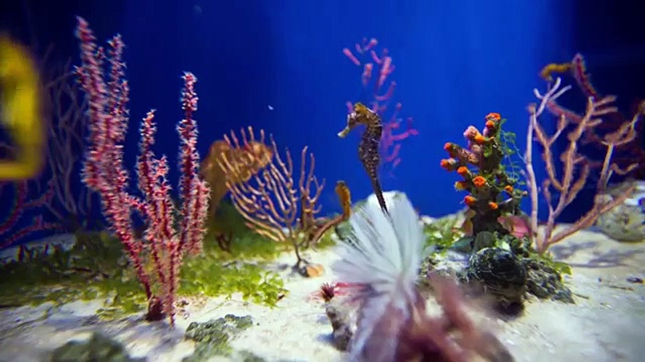 15 MAISONS   INCROYABLES