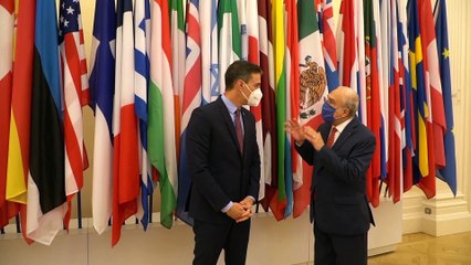 España apuesta por un plan de movilidad internacional y el "multilateralismo"