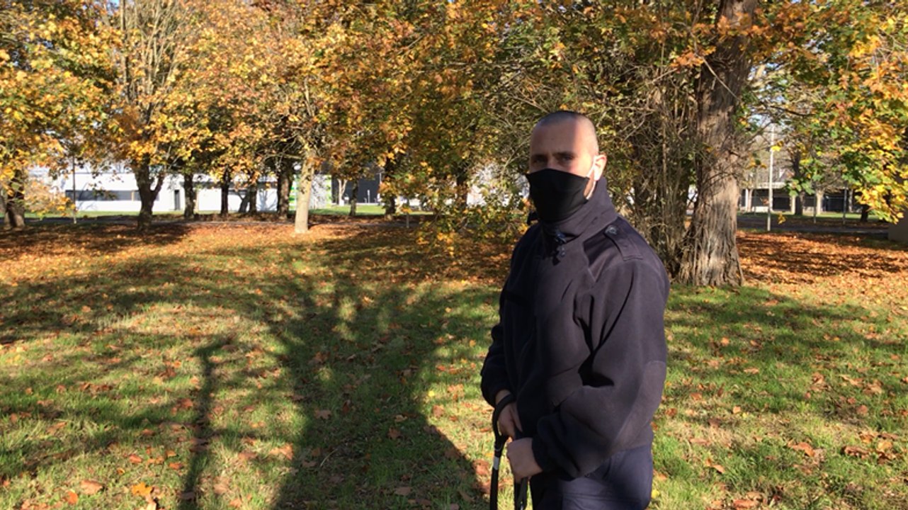 Entraînement de chiens policiers