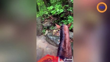 Ivre, elle se retrouve au milieu de la jungle mexicaine à dos de cheval