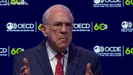 60 éves az OECD
