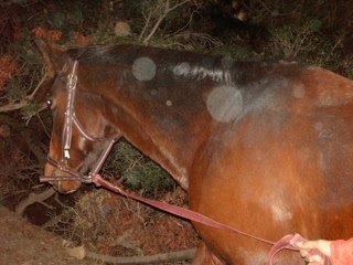 Widéo de mon namou