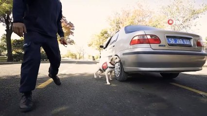 Jandarma, can dostları köpekler için kısa film çekti