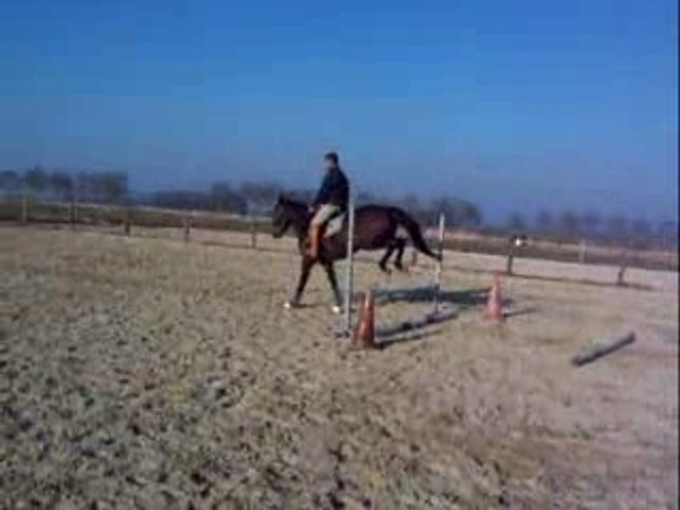 Quix avec Tony 1ère séance (2ème passage)