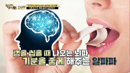 (의외) 껌을 씹으면 운동 효과가 높아진다?! #광고포함
