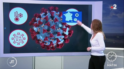 Coronavirus : comment expliquer le ralentissement de la baisse des cas ?