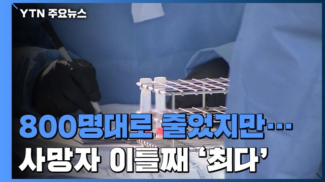 일주일 만에 8백명 대...사망자 24명에 위중증 환자도 증가 / YTN
