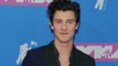 Shawn Mendes:  I was frustrated over sexuality questions