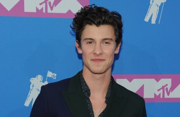 Shawn Mendes:  I was frustrated over sexuality questions