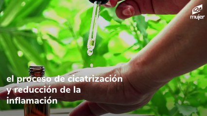 Beneficios del aceite de árbol de té en la salud y belleza