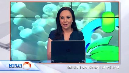 Lanzan nueva plataforma digital para la conservación de los delfines en Suramérica
