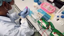 วัคซีนเพื่อคนไทย