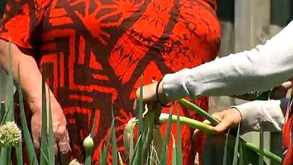 One in four experienced shortages during pandemic