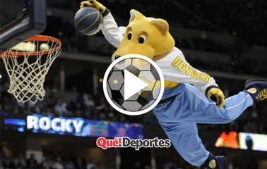 Estas mascotas no están locas ¡Estan loquisimas!