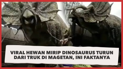 Viral Hewan Mirip Dinosaurus Turun dari Truk di Magetan, Ini Faktanya