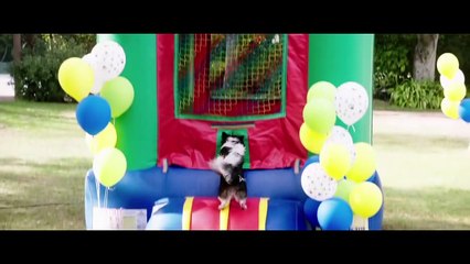 Dog Days - Official Teaser Trailer (2018)