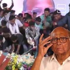 NCP Workers Go Berserk To Get A Piece Of Sharad Pawar’s Birthday Cake