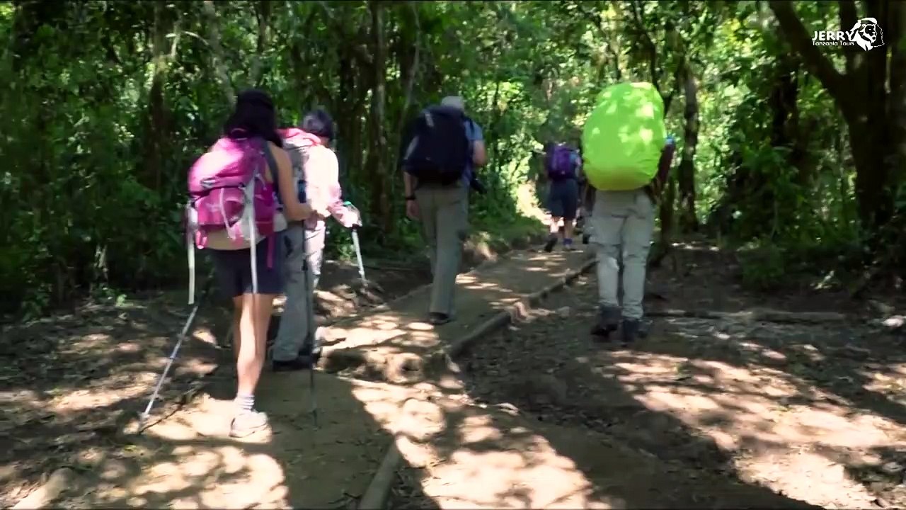 Northern Circuit Route _ CLIMBING MOUNT KILIMANJARO (2020)