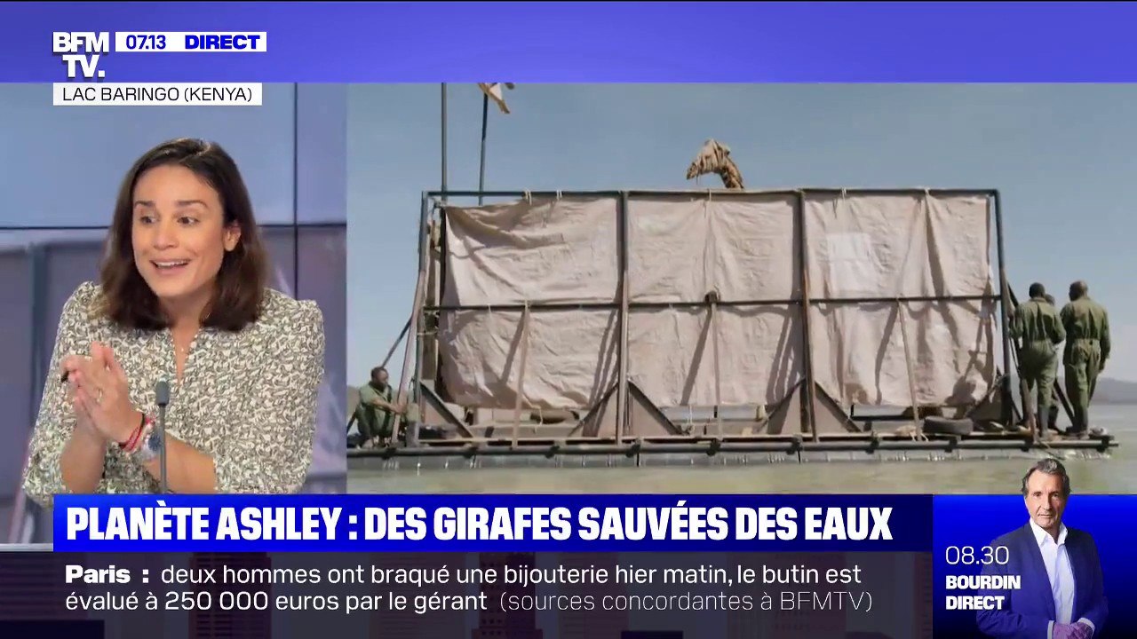 Planète Ashley - Des girafes sauvées de la montée des eaux au Kenya