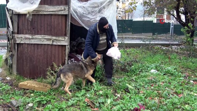 Yaşlı adam emekli maaşının çoğunu sokak hayvanları için harcıyor