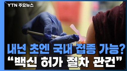 내년 초 '국내 백신 접종' 가능할까..."허가 절차 관건" / YTN