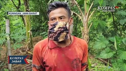 Misterius! 49 Ternak di Kuningan Mati Mendadak