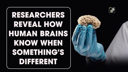 Here's how human brain differentiates between past and present