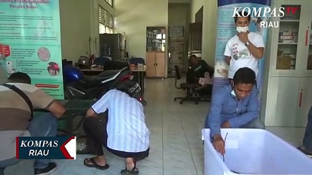 BBKSDA Jemput Dua Ekor Hewan Dilindungi Di Rumah Kapolres