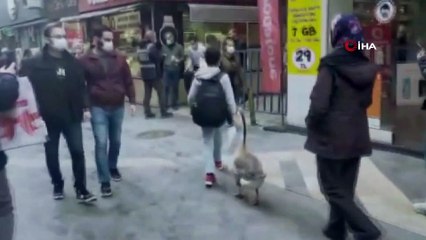 Sokakta görenler dönüp bir daha baktı