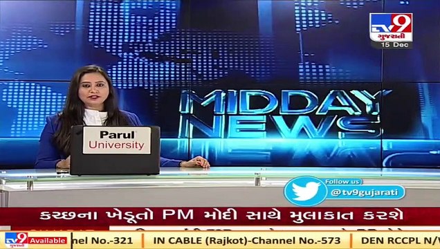 Lions seen roaming the street of Rajpipla village, Rajkot Tv9GujaratiNews