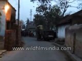 Elephant strays into Indian town, pushes truck off highway!