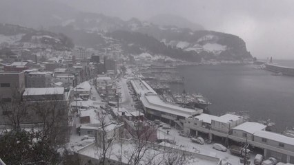 [날씨] 대설 경보 내린 울릉도에 40cm 가까운 눈 쌓여 / YTN