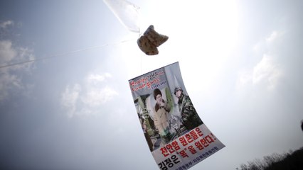 S Korea bans flying anti-N Korea leaflets across border