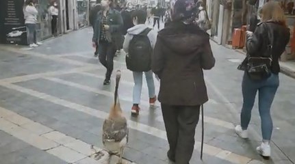 Görenler dönüp bir daha baktı!