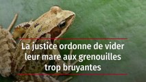 La justice ordonne de vider leur mare aux grenouilles trop bruyantes