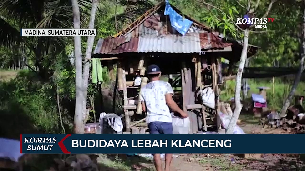 Budidaya Lebah Klanceng