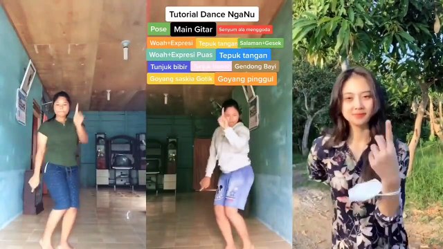 KUMPULAN GOYANG PAPI CHULO KOPLO - ARTIS ADA YANG IKUTAN JUGA