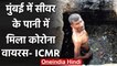 Coronavirus India Update: Mumbai के Sewer में मिला कोरोना वायरस- ICMR | वनइंडिया हिंदी