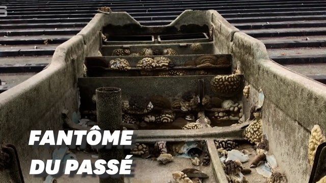 Un bateau de pêche refait surface au Japon 9 ans après le tsunami