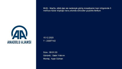 MUŞ - Etkili sis, hayatı olumsuz etkiliyor